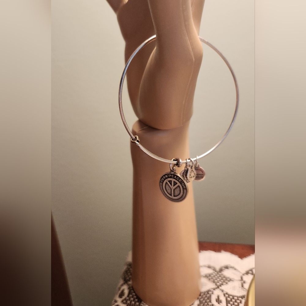 Alex and Ani Silver Charm bangle  Bracelet